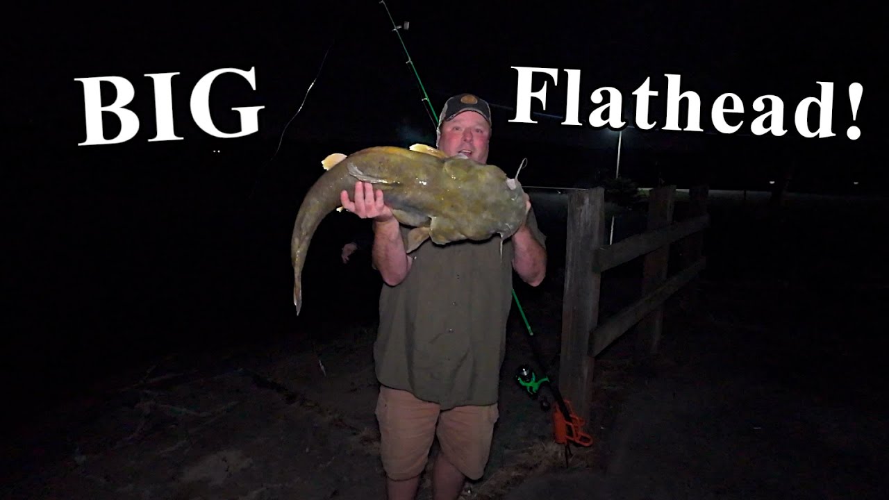 Biggest Flathead Catfish Caught On My Budget Catfishing Rod and Reel!