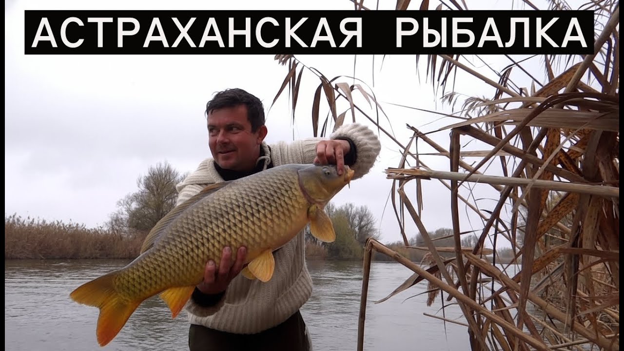 ЗАСТРЯЛИ НА ОСТРОВЕ: Ловля крупных сазанов. Приключения с поломкой мотора