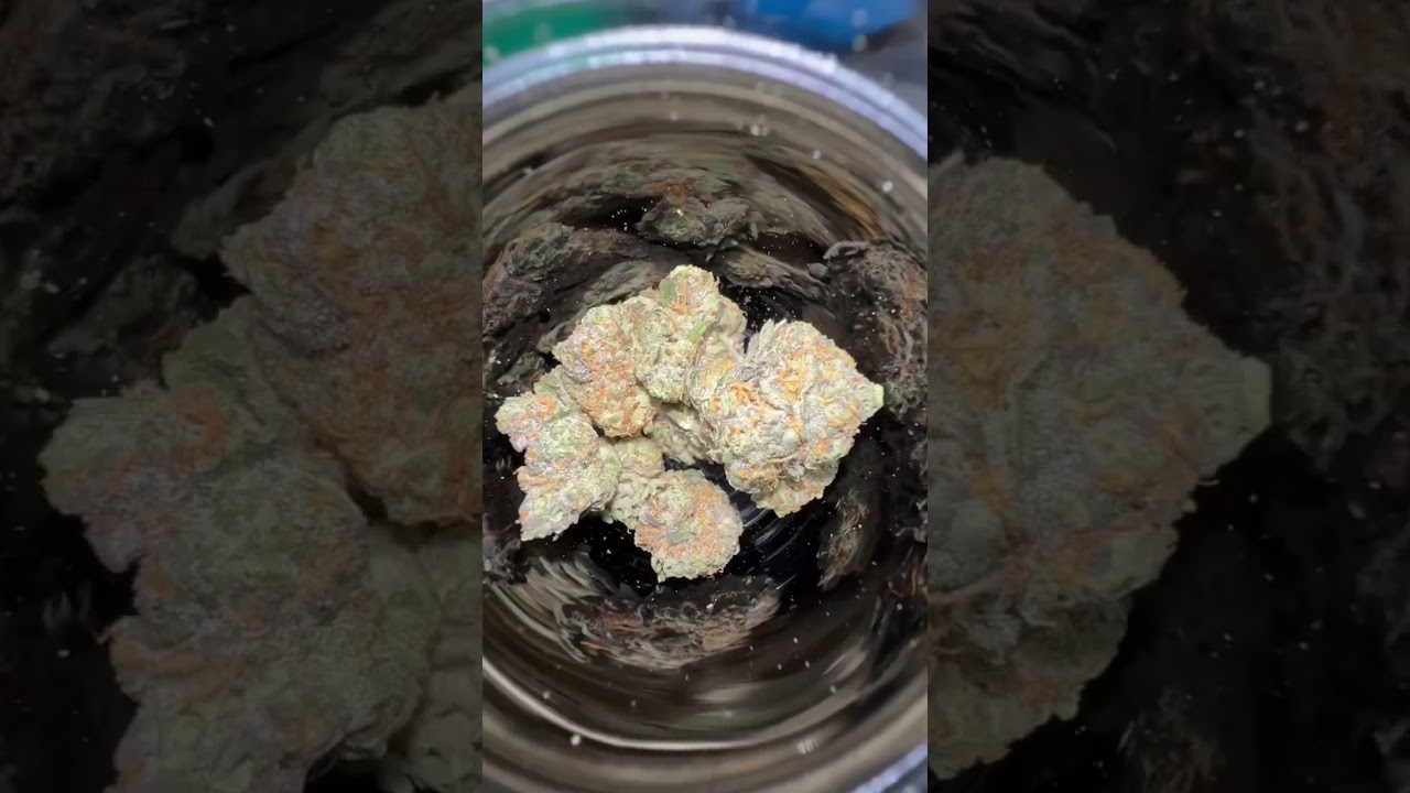 Gary Payton #eastcoast #connecticut #smoke #recreational #review #pot #educational #love #highlight￼