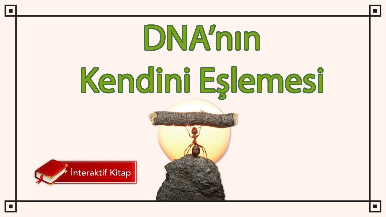 AYT Biyoloji | DNA'nın Kendini Eşlemesi ( Replikasyon) #sayfa136
