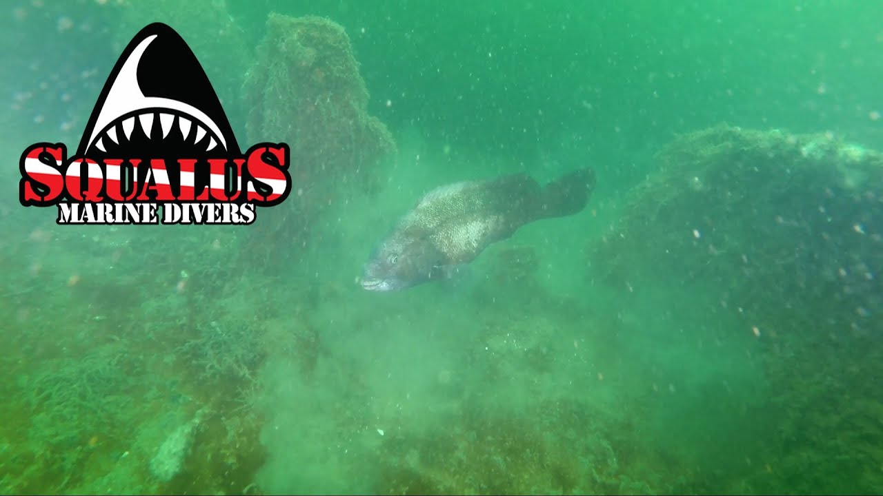ARTIFICIAL REEF AT SMITHTOWN BAY NY MONSTER BARGE -SQUALUS MARINE DIVERS