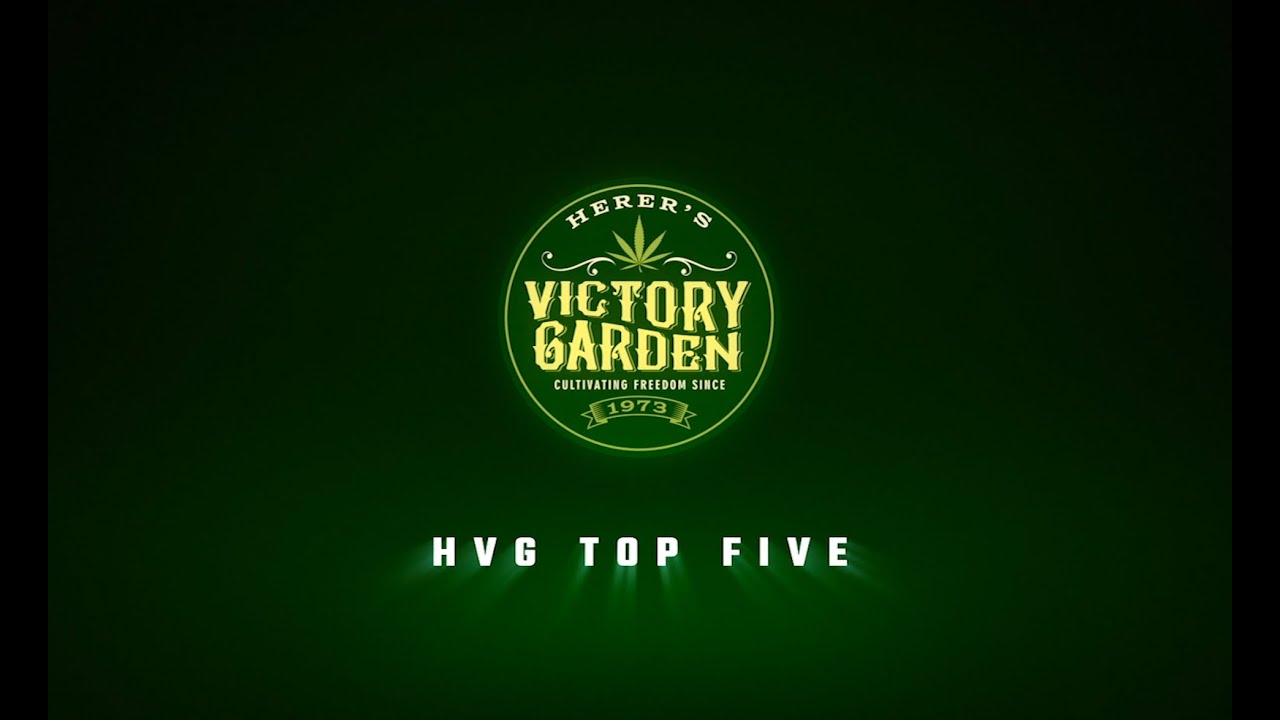 HVG TOP 5 LAND RACE STRAINS