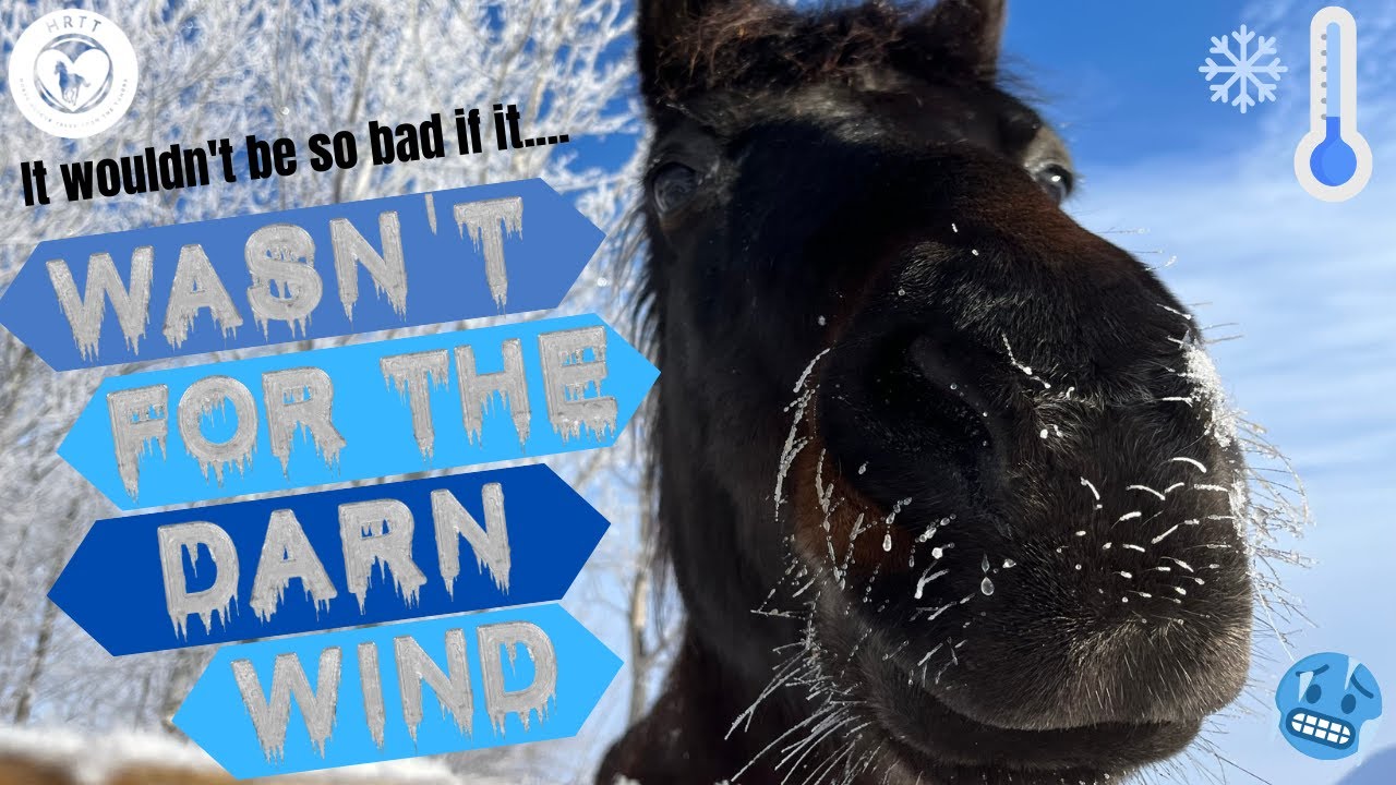 Horse Rescue Tales from the Tundra - S1-E5