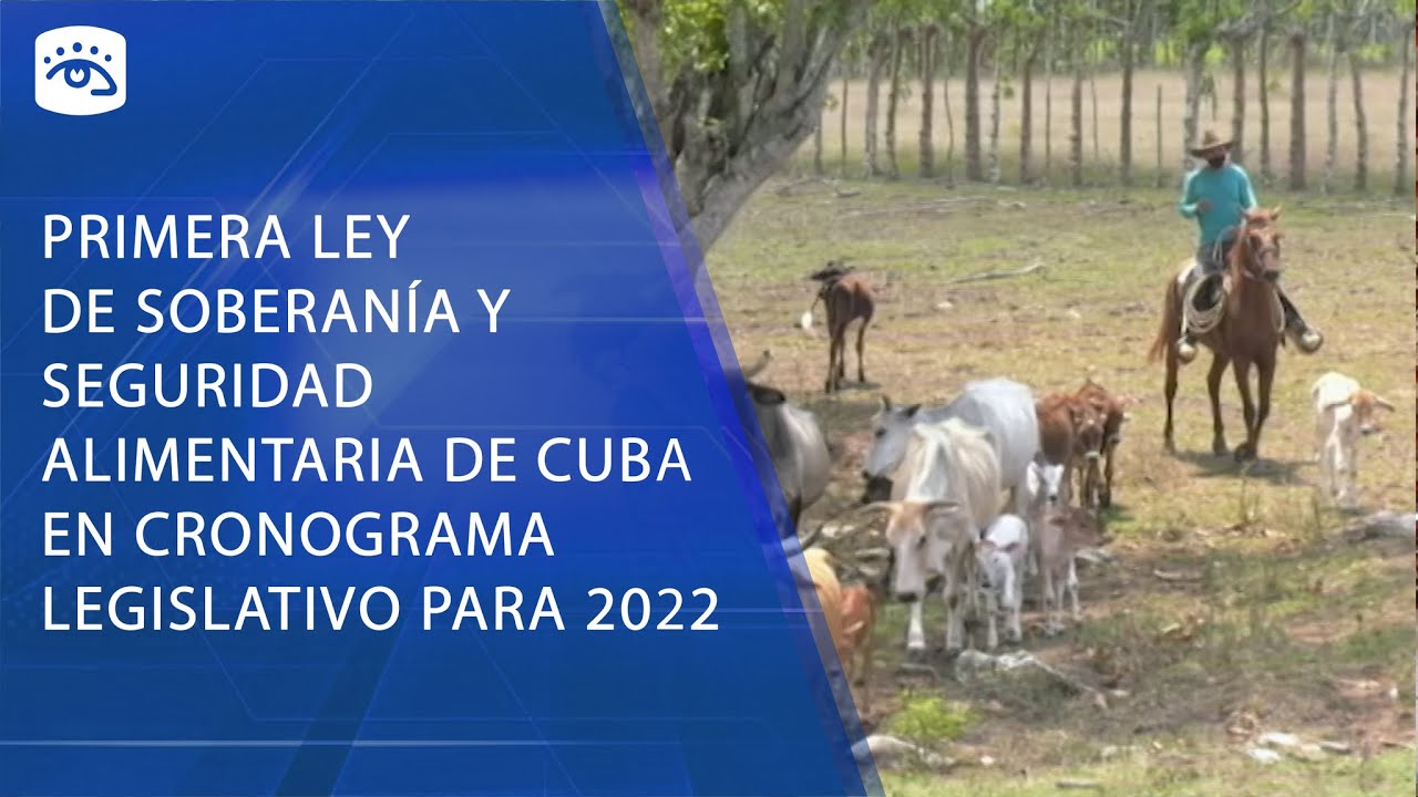 Primera ley de soberanía y seguridad alimentaria y nutricional en cronograma legislativo para 2022