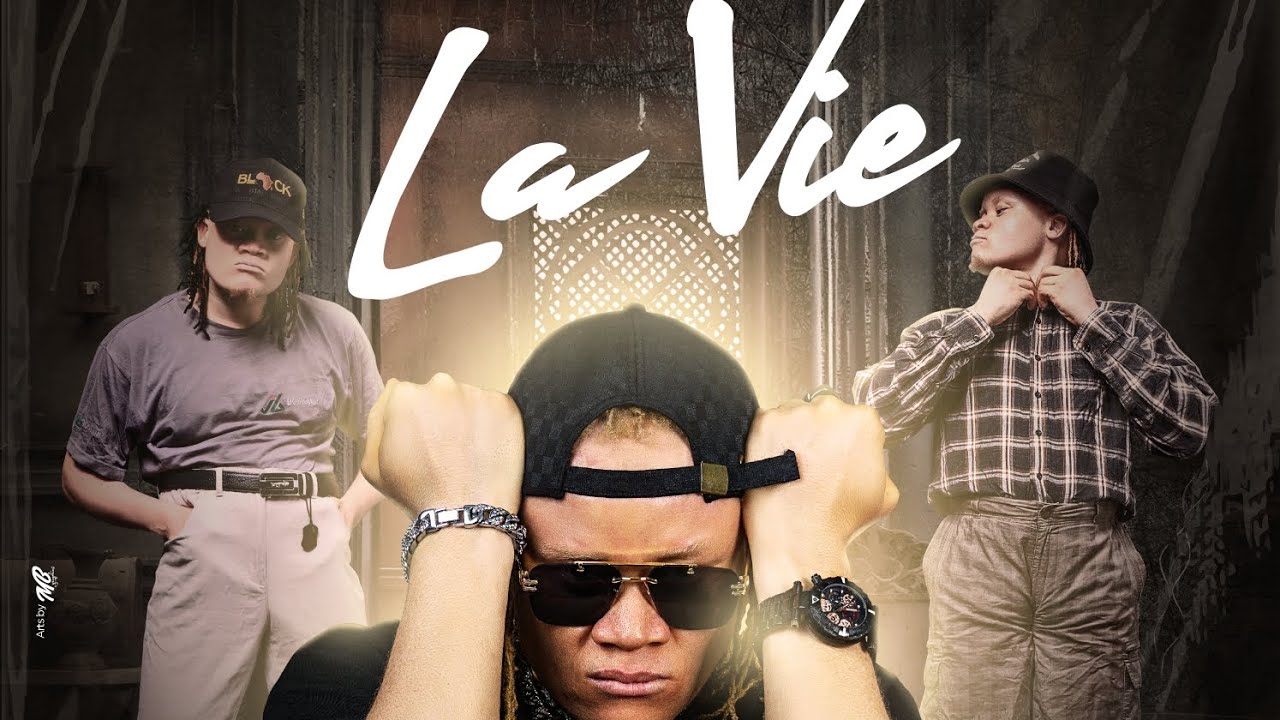 Boy TAG - La Vie (Visualizer)