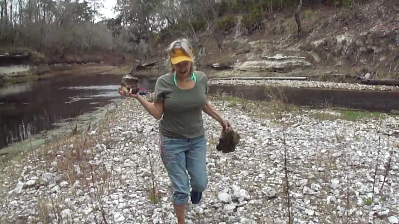 coraling on the suwannee