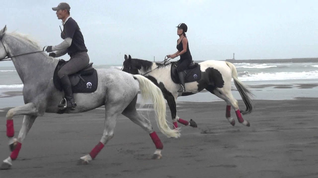 酷酷馬野外騎馬場2015 11/23 海訓