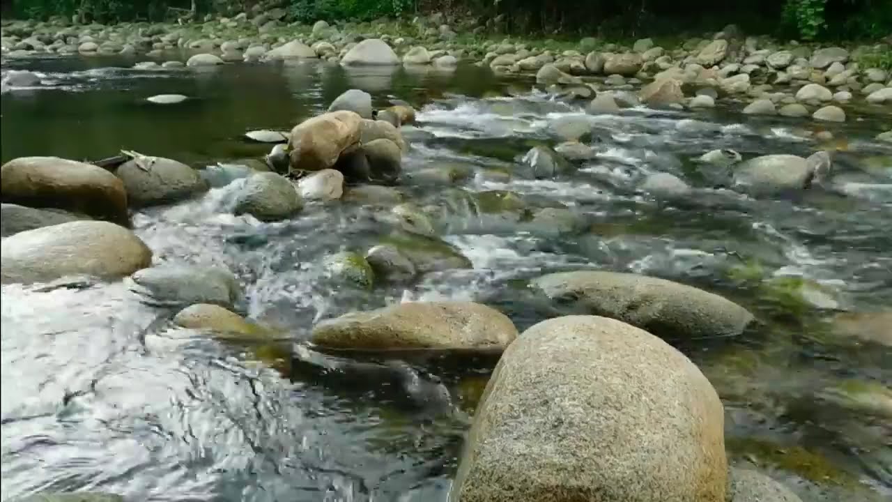 2 horas de &aacute;guas calmas descendo o riacho para Relaxar,  dormir e meditar.