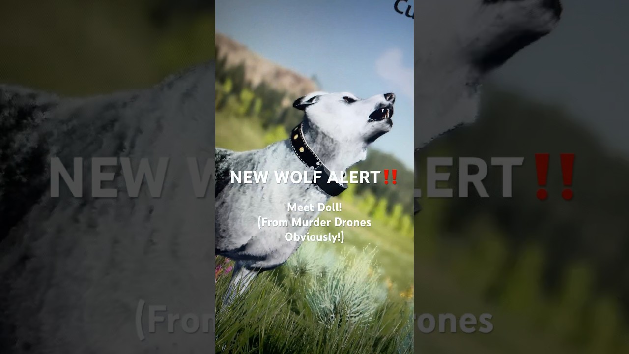NEW WOLF!!! Meet Doll :D #wolfquest #edit #wolf #wolfquestanniversaryedition #laptopgamer