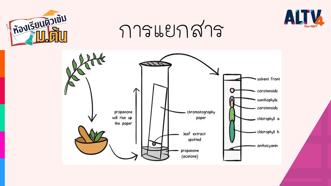 วิทยาศาสตร์ : การแยกสาร l ห้องเรียนติวเข้ม ม.ต้น (17 ก.พ.65)