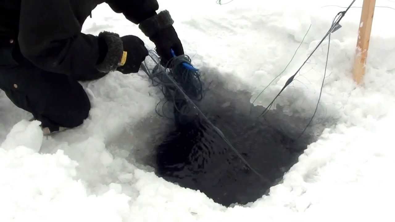 Fiske med Isnät i Storsjön Jämtland, Fishing Nets under the Ice