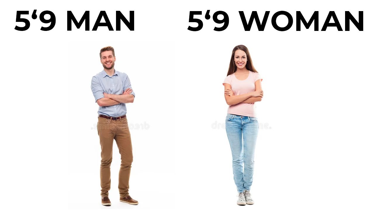 ANTI MEMES 2
