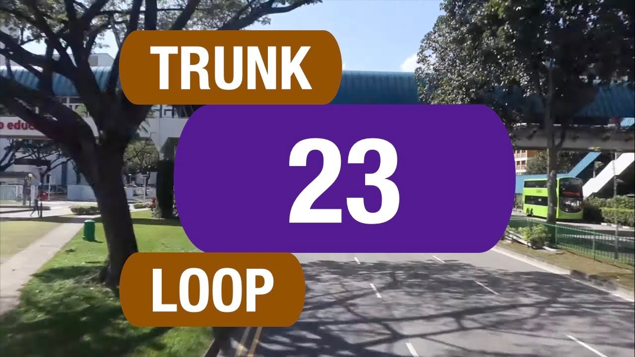 SBS Transit Trunk 23 | Bus Service Route Visual