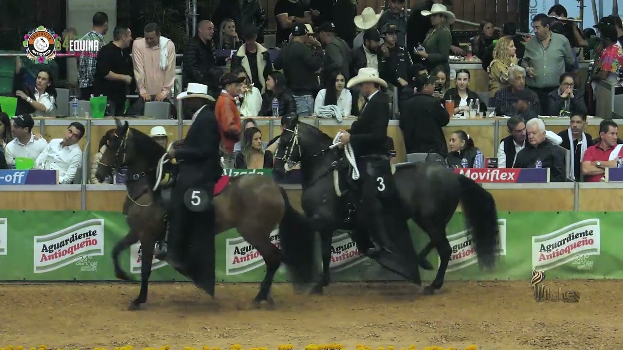 ZARZALEÑA DE LA ILUSION, GRAN CAMPEONA TROCHA COLOMBIANA  FERIA DE LAS FLORES 2023