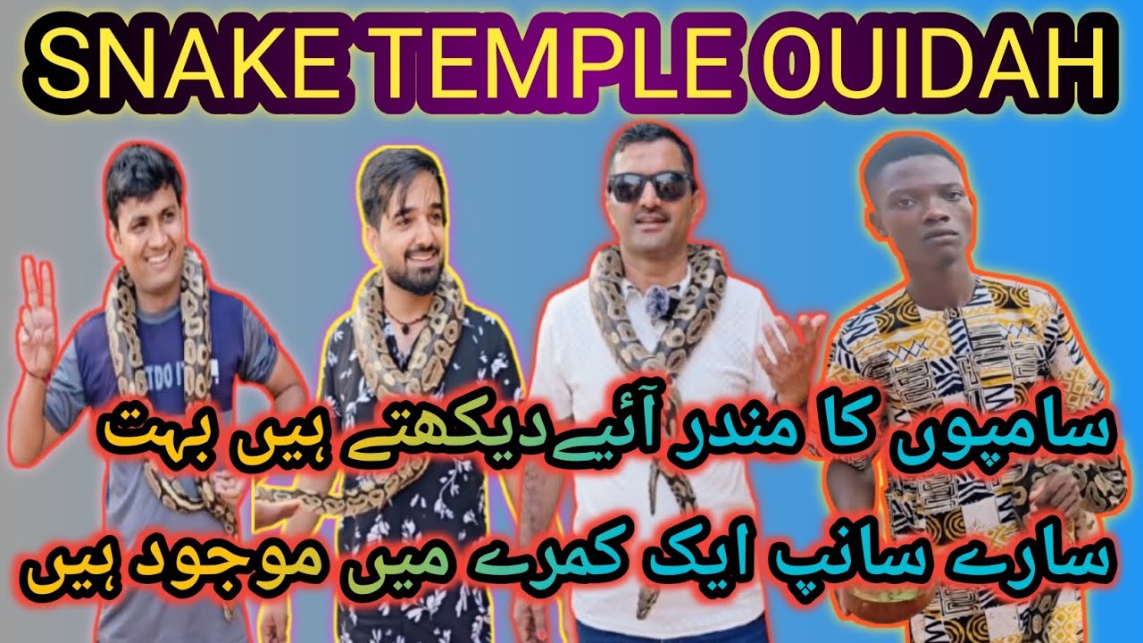 Snake Temple Benin /Temple Of Pythons Ouidah / Saanpon ka mandir /Saanp Mojood hen