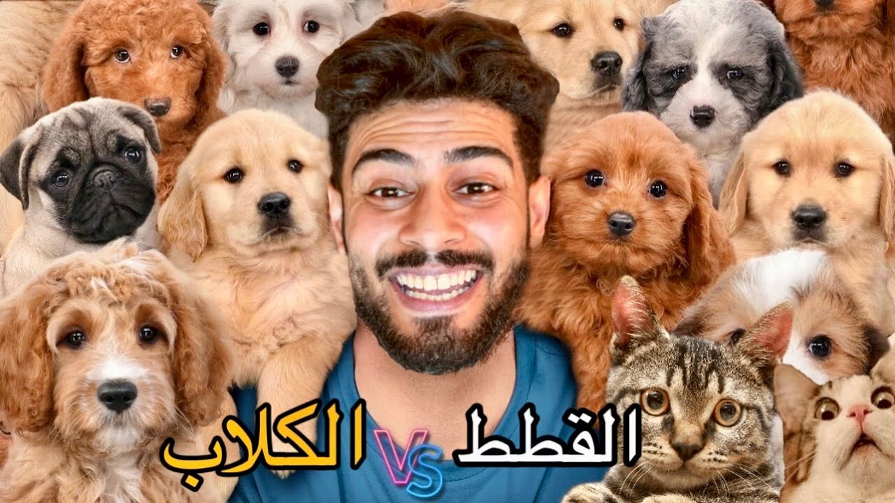 حياة القطط‼️و الكلاب🥶مع الناس🚨