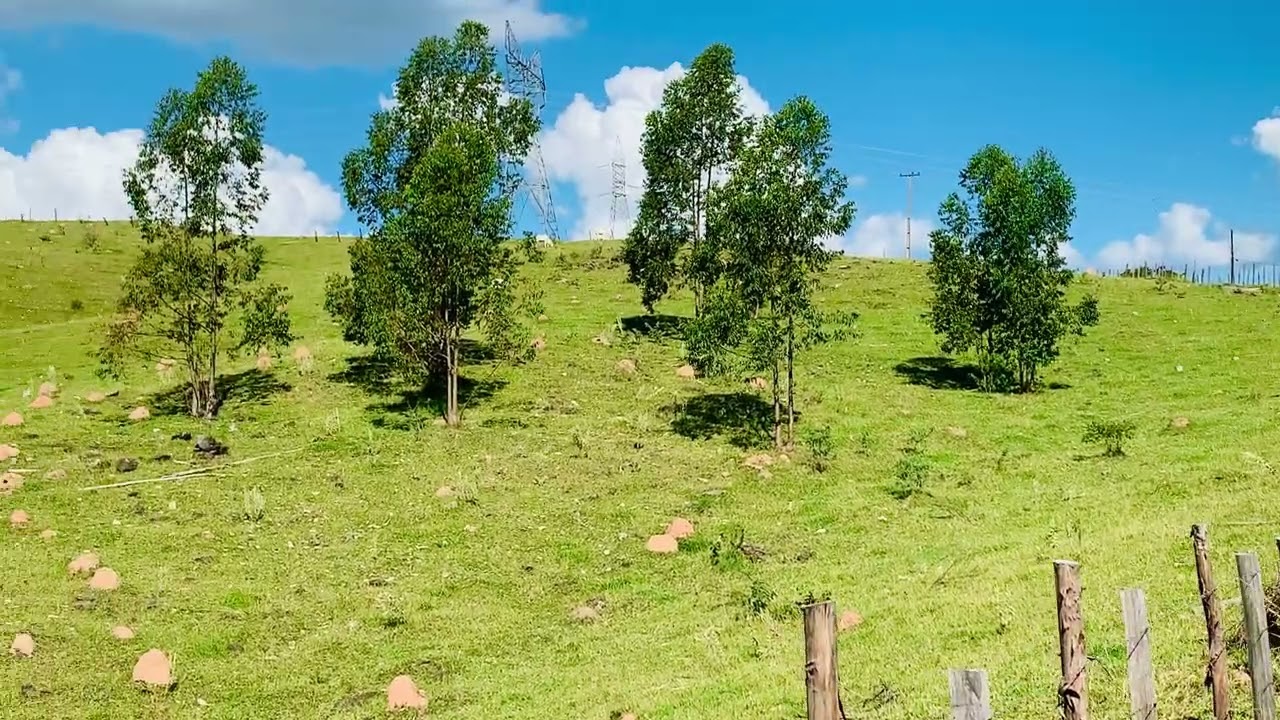 31 de mar&ccedil;o de 2024