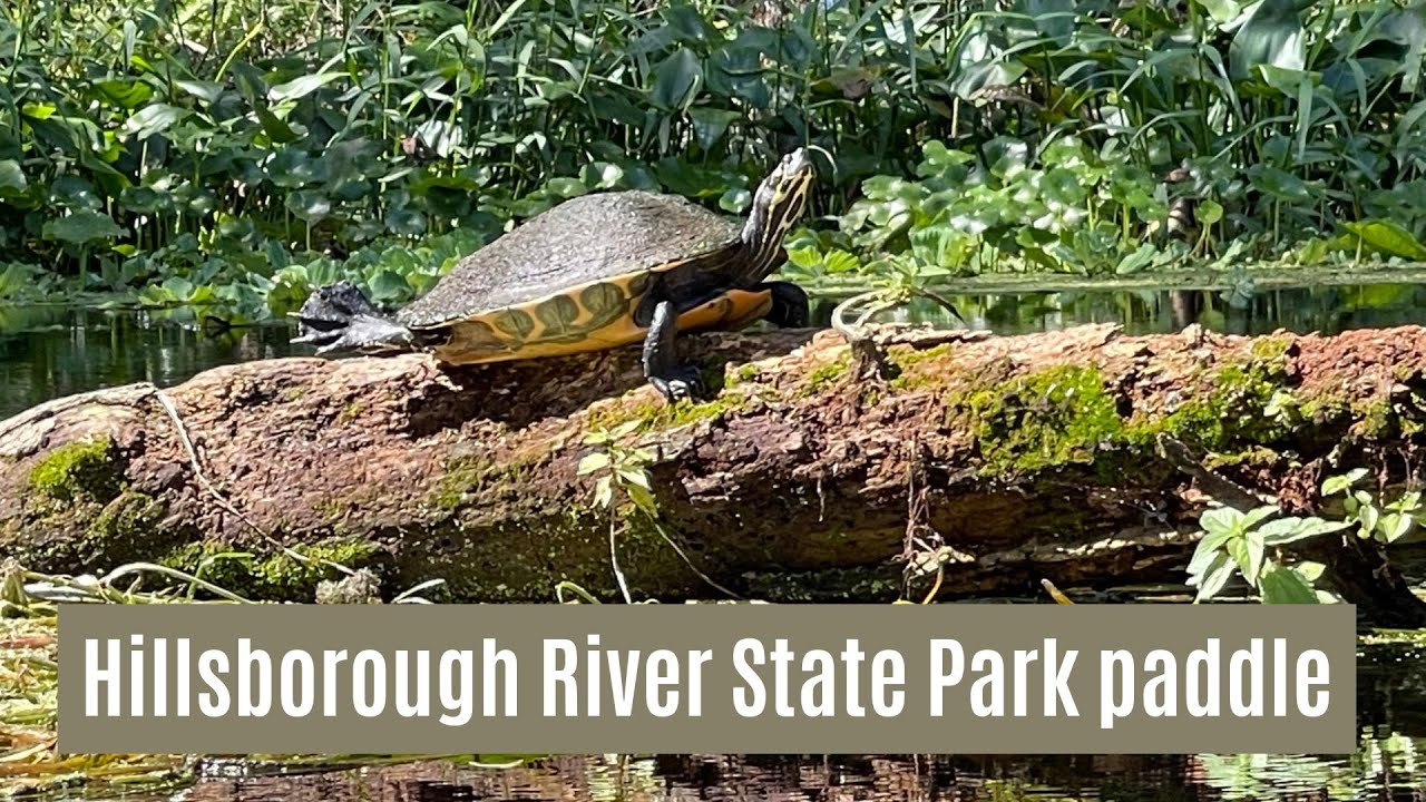 Hillsborough River State Park paddle