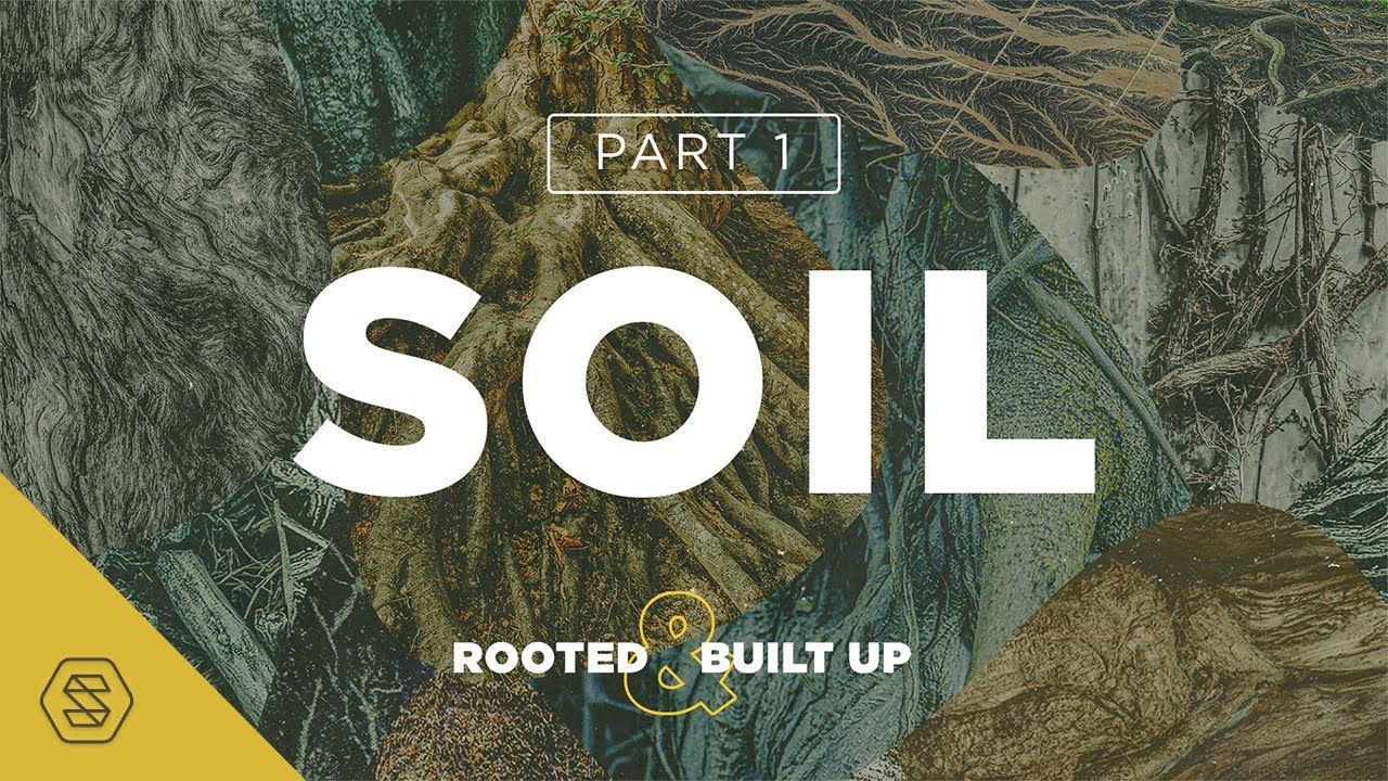 Soil // David Asscherick
