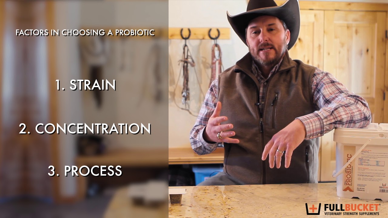 Equine Probiotics - SmartPak