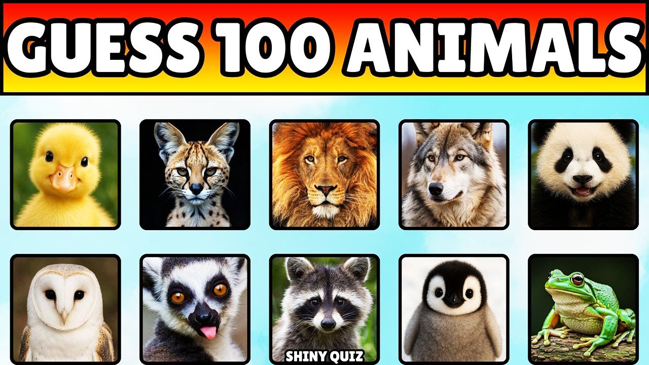 Can You Guess the Animal in 5 Seconds? 🐶🦁