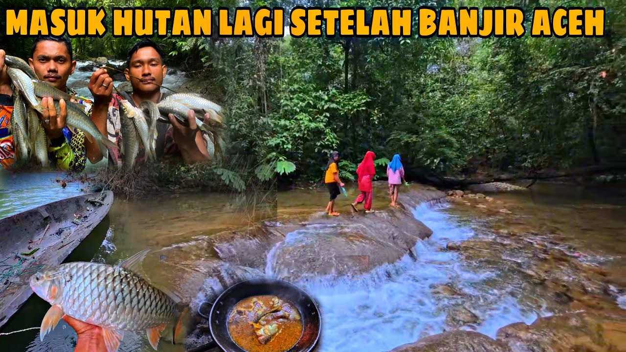 Masuk Hutan lagi setelah B4NJIR ||  Begini Kondisi Hulu sungai & hutan di ACEH..