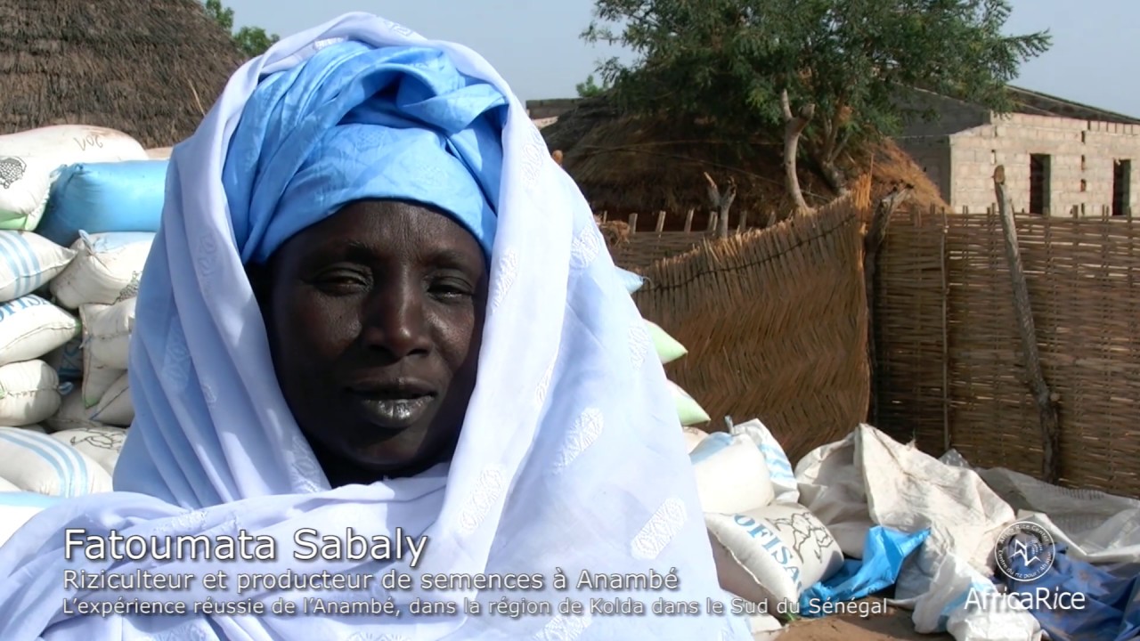 Fatoumata Sabaly, Riziculteur, L’expérience réussie de l’Anambé