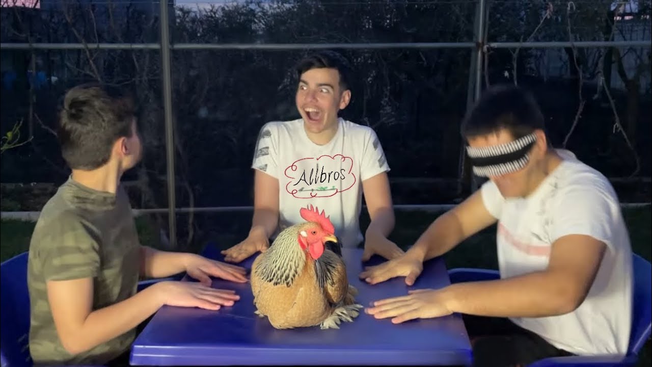 ALBROS PROVO MOS TE LEVIZESH CHALLENGE