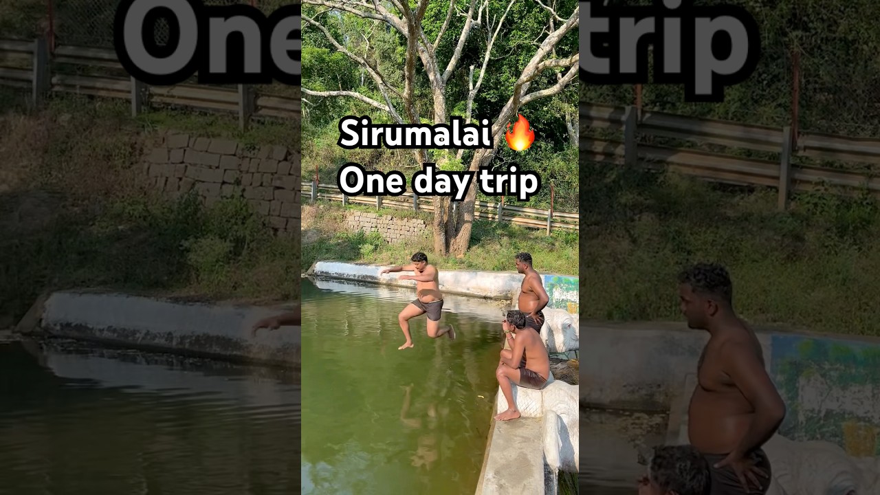 Sirumalai one day trip🔥#dindigul #sirumalai #udumalai #coimbatore #palani #travel #forest #shorts