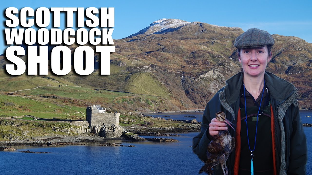 Scottish Woodcock Shoot