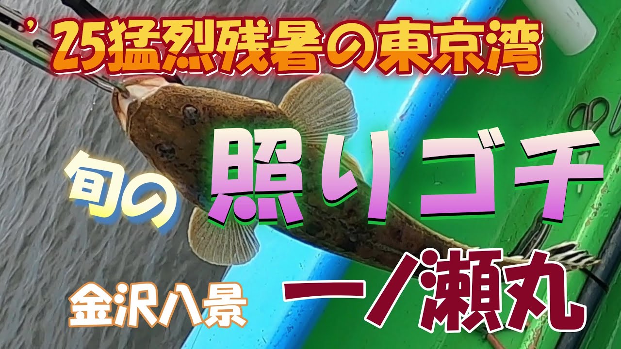 25猛残暑 東京湾のマゴチ  一ノ瀬丸