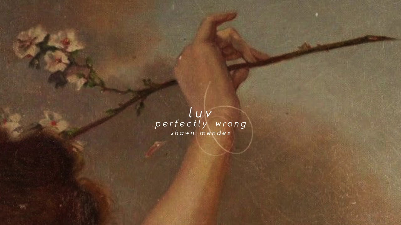 shawn mendes - perfectly wrong (slowed + reverb)