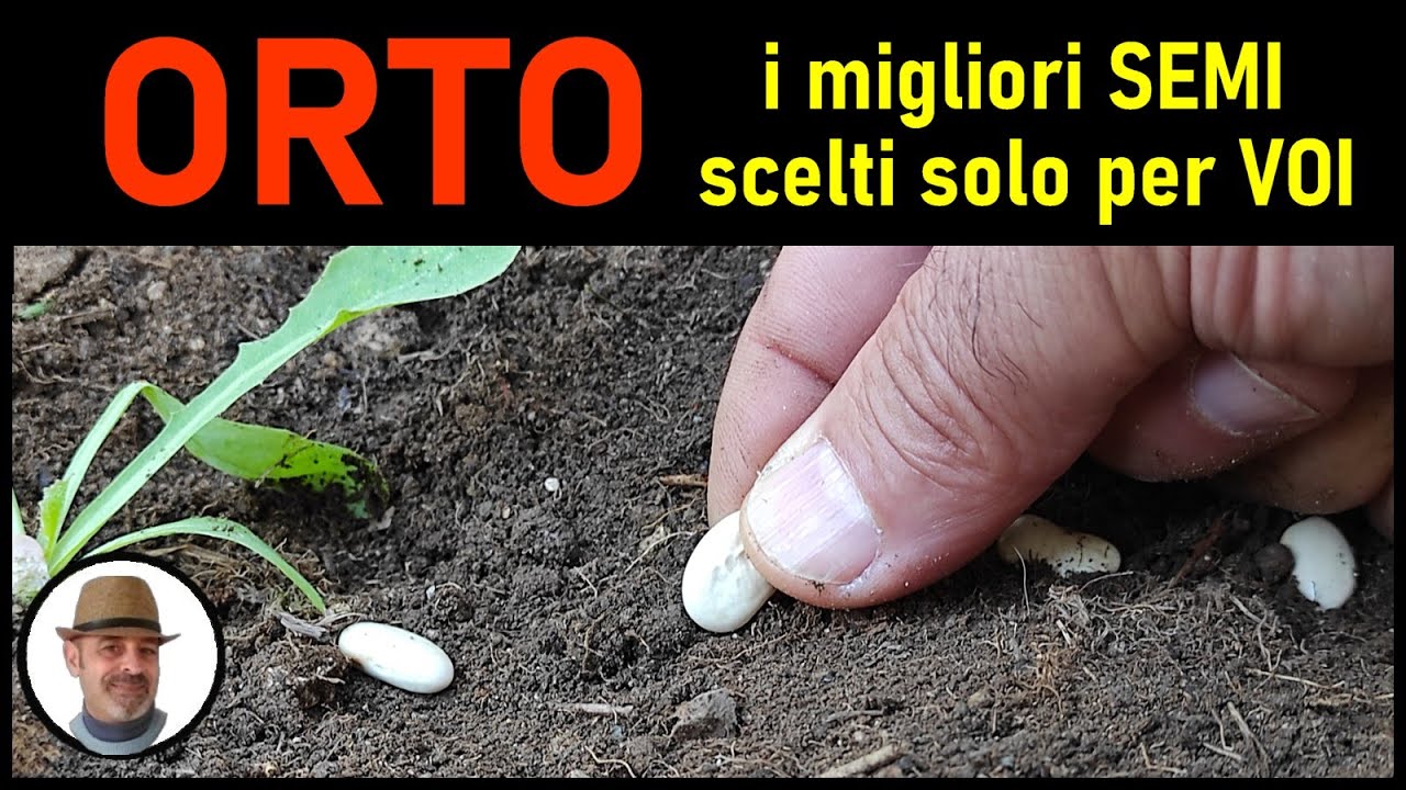 i migliori semi per ortaggi di tutto l'anno selezionati per VOI direttamente da Piergiorgio