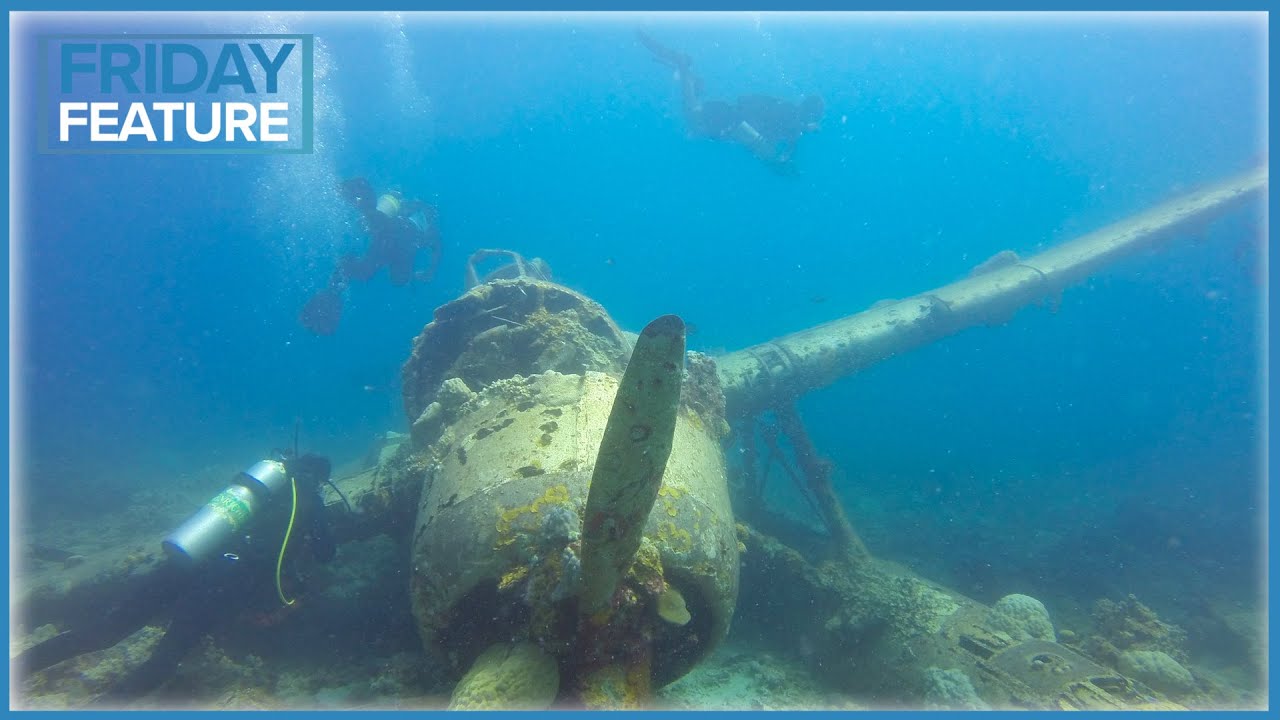 10 Mistakes That Newbie Divers Make | Friday Feature