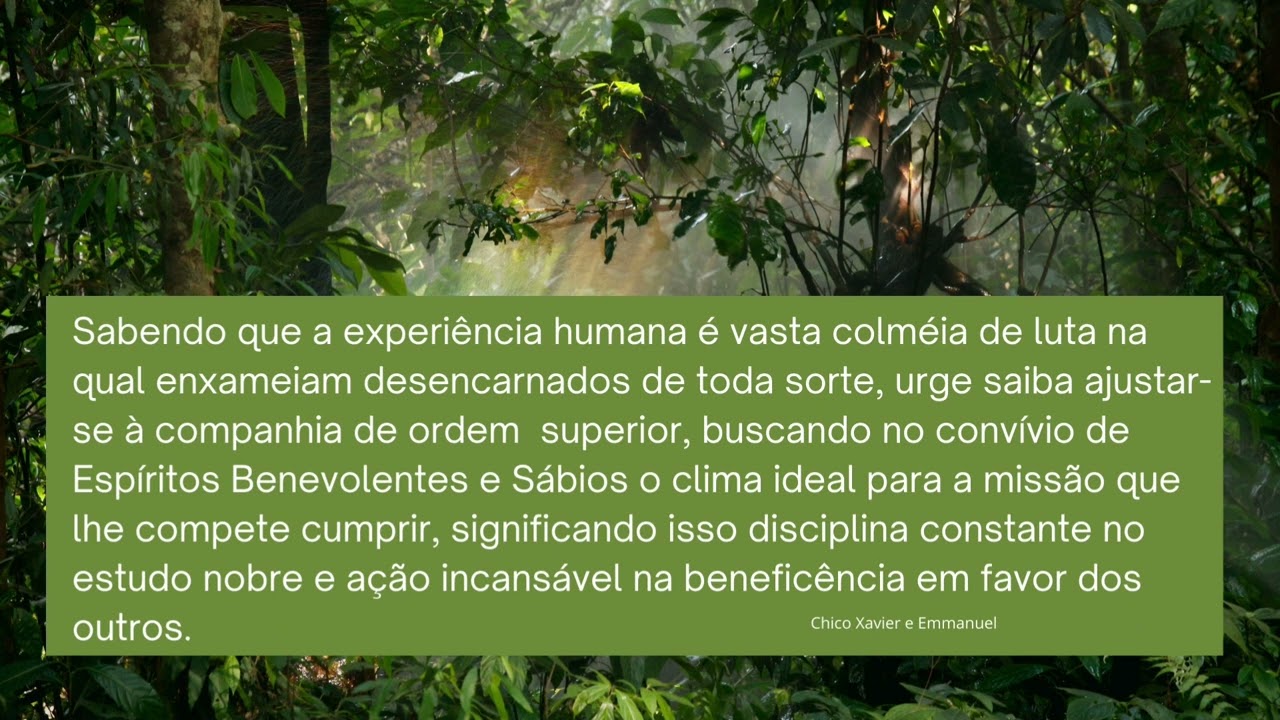 O conceito espírita.