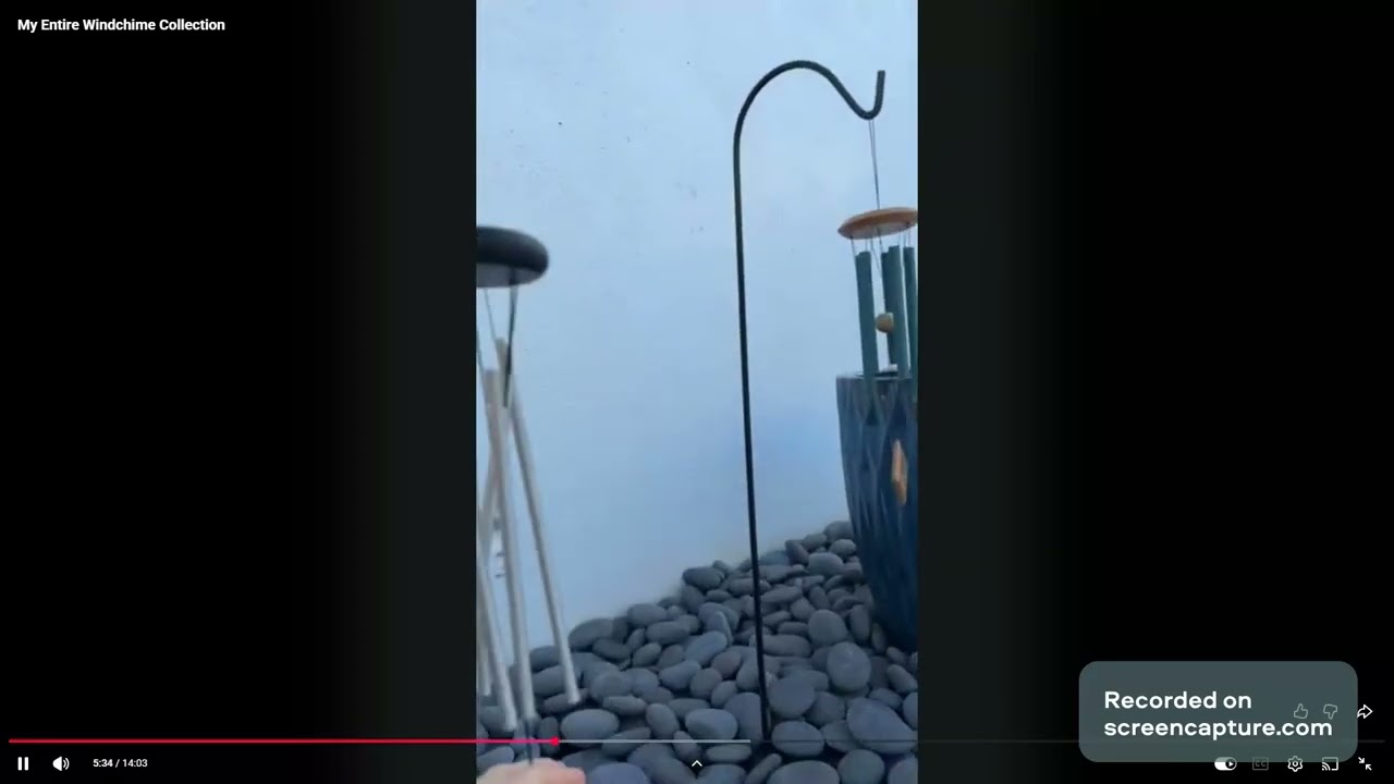 Reacting to 