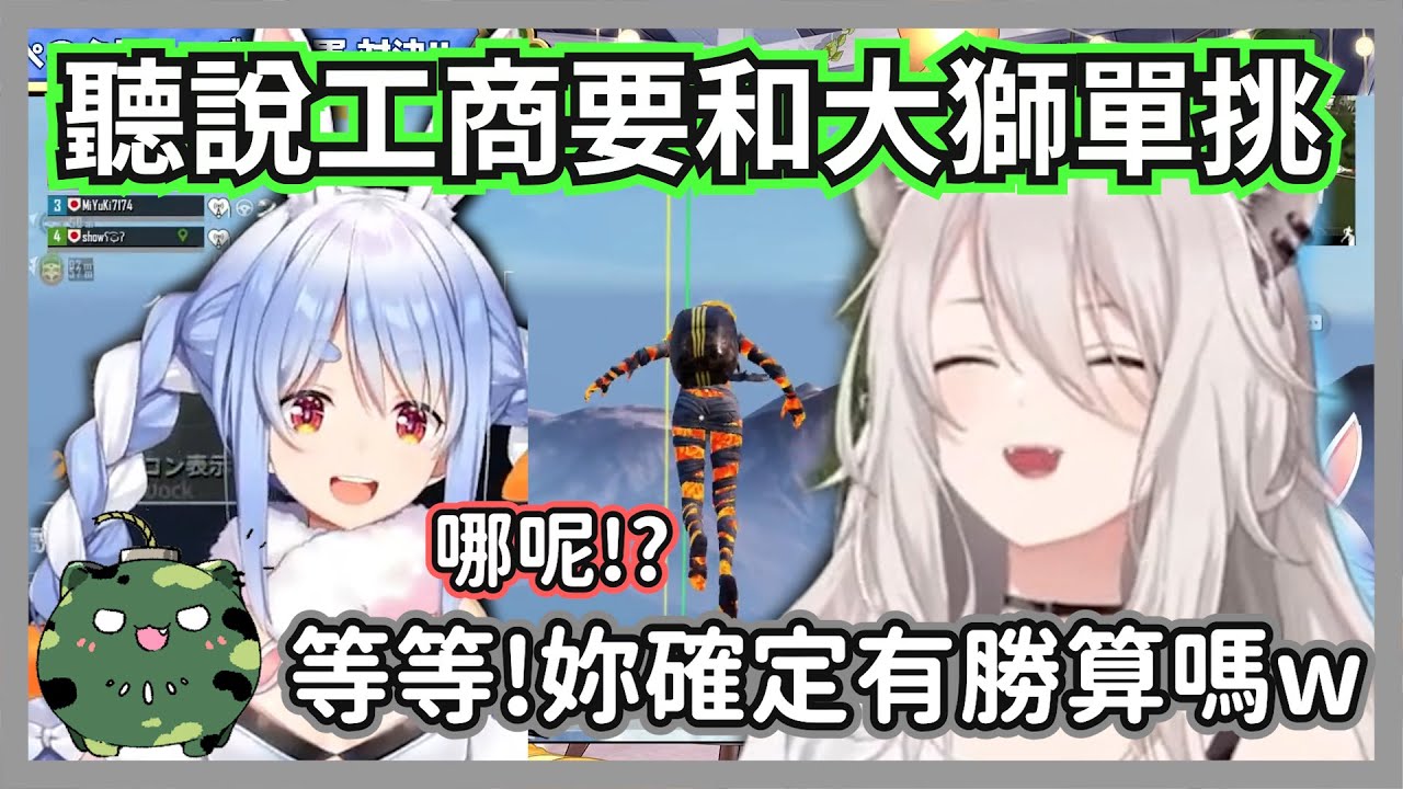 聽說工商要和大獅單挑傻眼的族長，聊天室:這根本是地獄難度吧w【獅白牡丹/兔田佩克拉】【hololive精華】