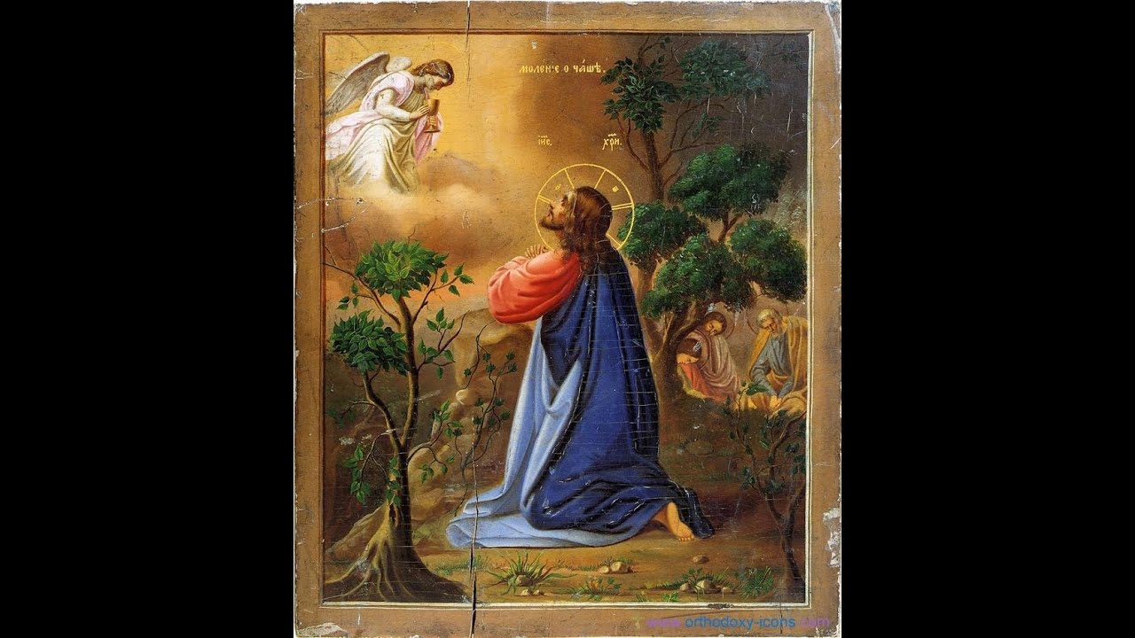 TAINICĂ GRADINĂ - PRICEASNĂ