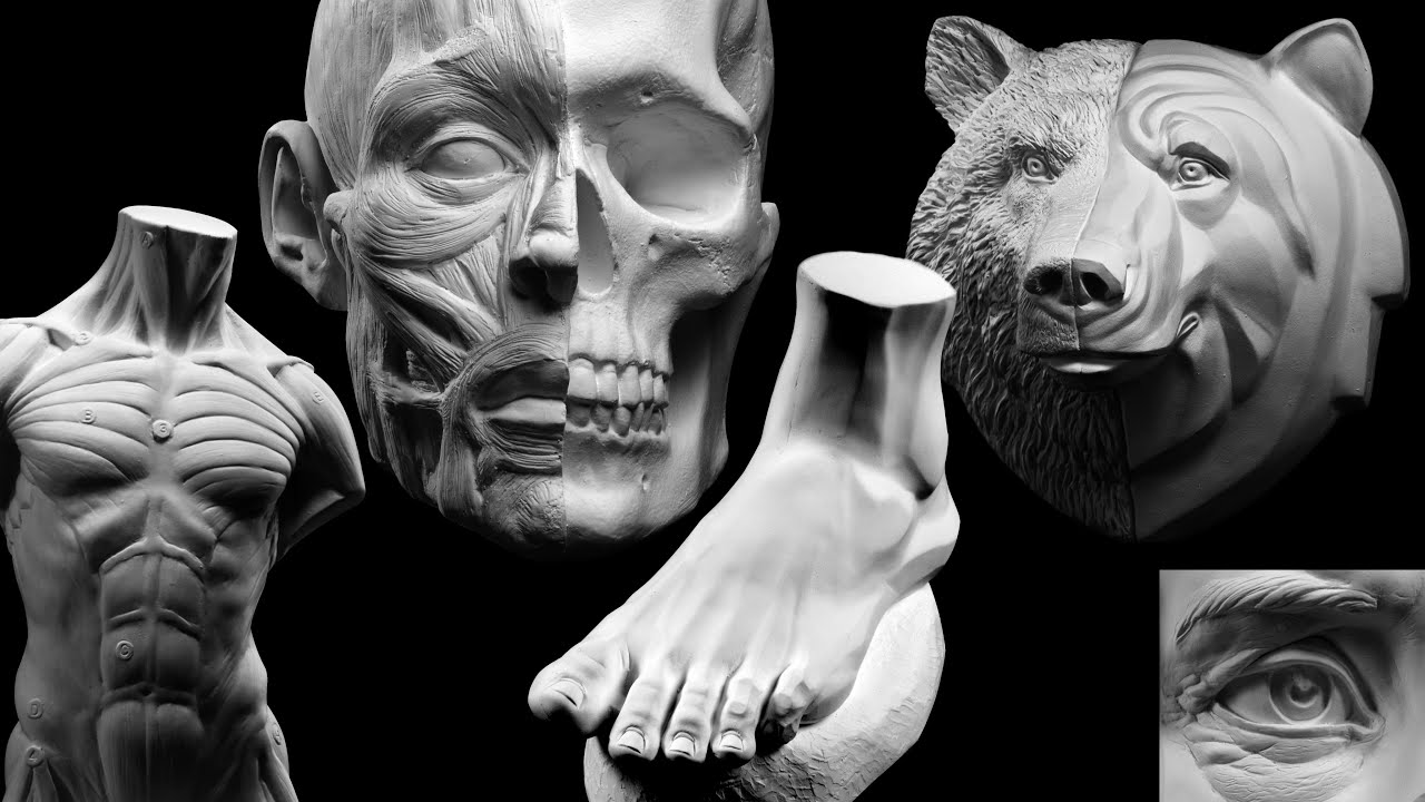 Sculpting 3D Art Reference Models
