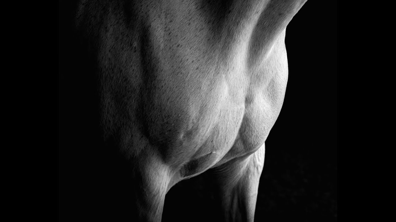 Fine Art Abstract
