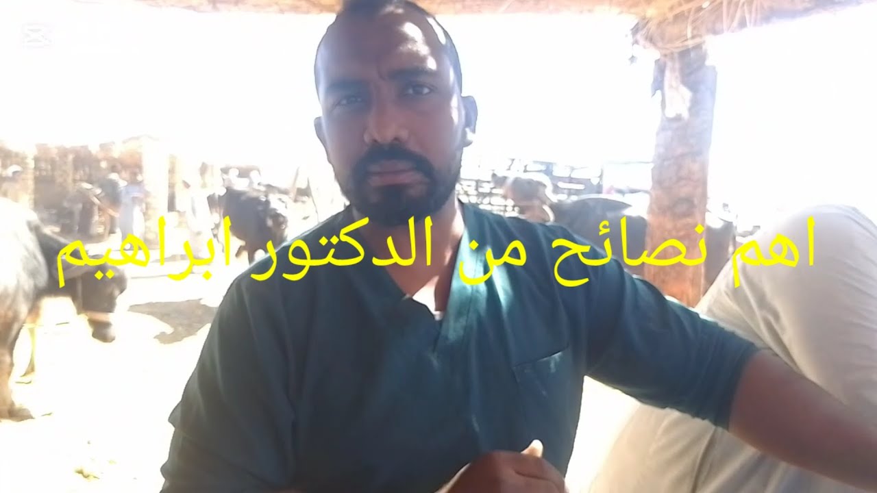 اهم النصايح من الدكتور ابراهيم يونس والوقايه من الامراض ومعاد التحصينات ١٩/٢