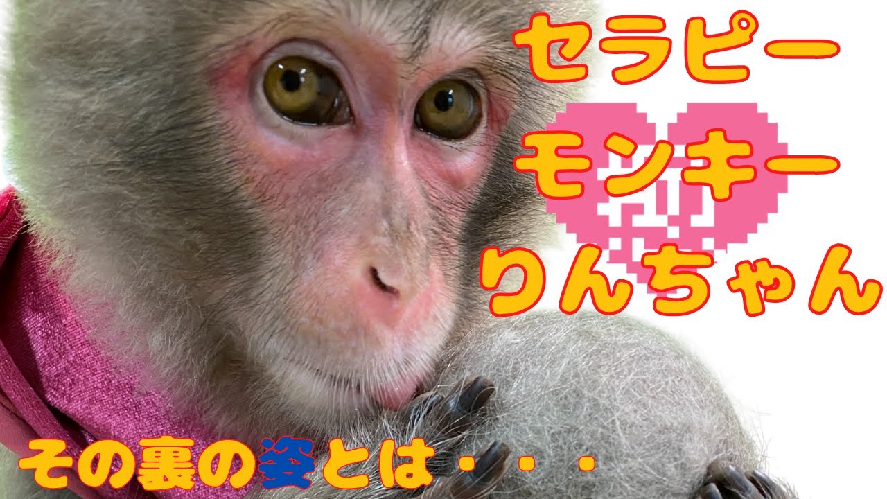 （愛）美人さんで可愛いりんちゃん！人を癒す優しい彼女の裏の姿とは、、！？