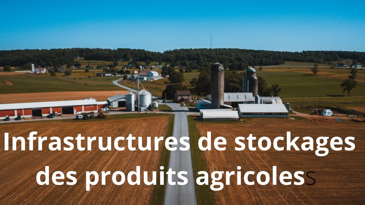 Comment investir dans les infrastructures de stockage des produits agricoles  en Afrique