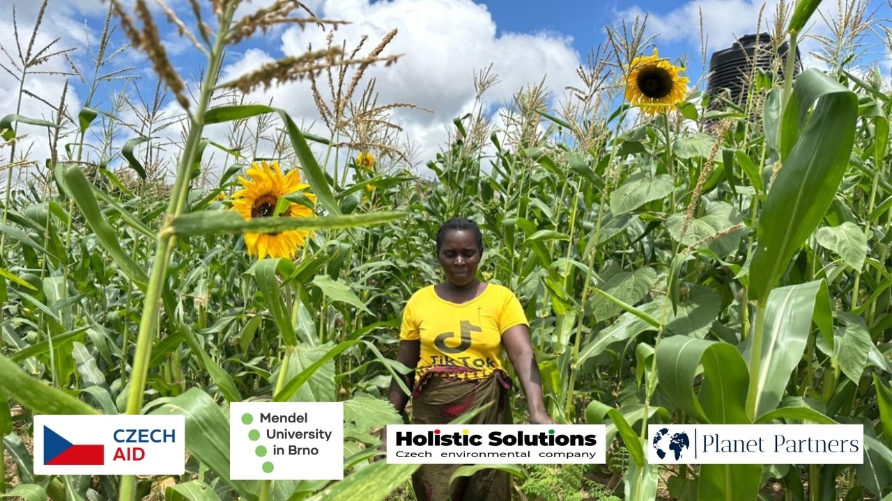 🌱Sustainable Agroforestry for Improved Production in Southern Province of Zambia