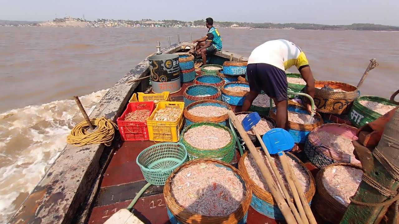 खुप दिवसानंतर खोल समुद्रात केली डोल मासेमारी. Deep sea fishing. Mumbai Indian fishing #boat