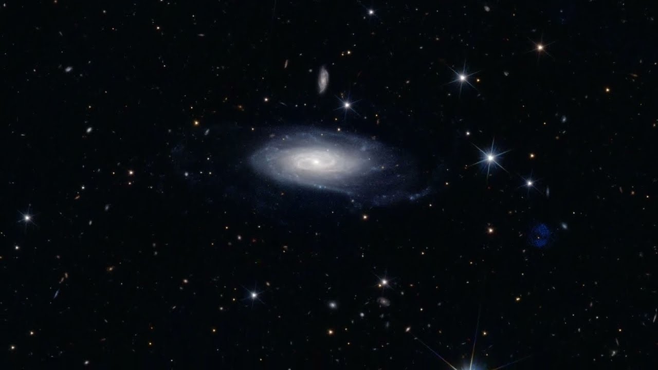Euclid: Panning from spiral galaxies to Einstein ring and polar ring galaxy