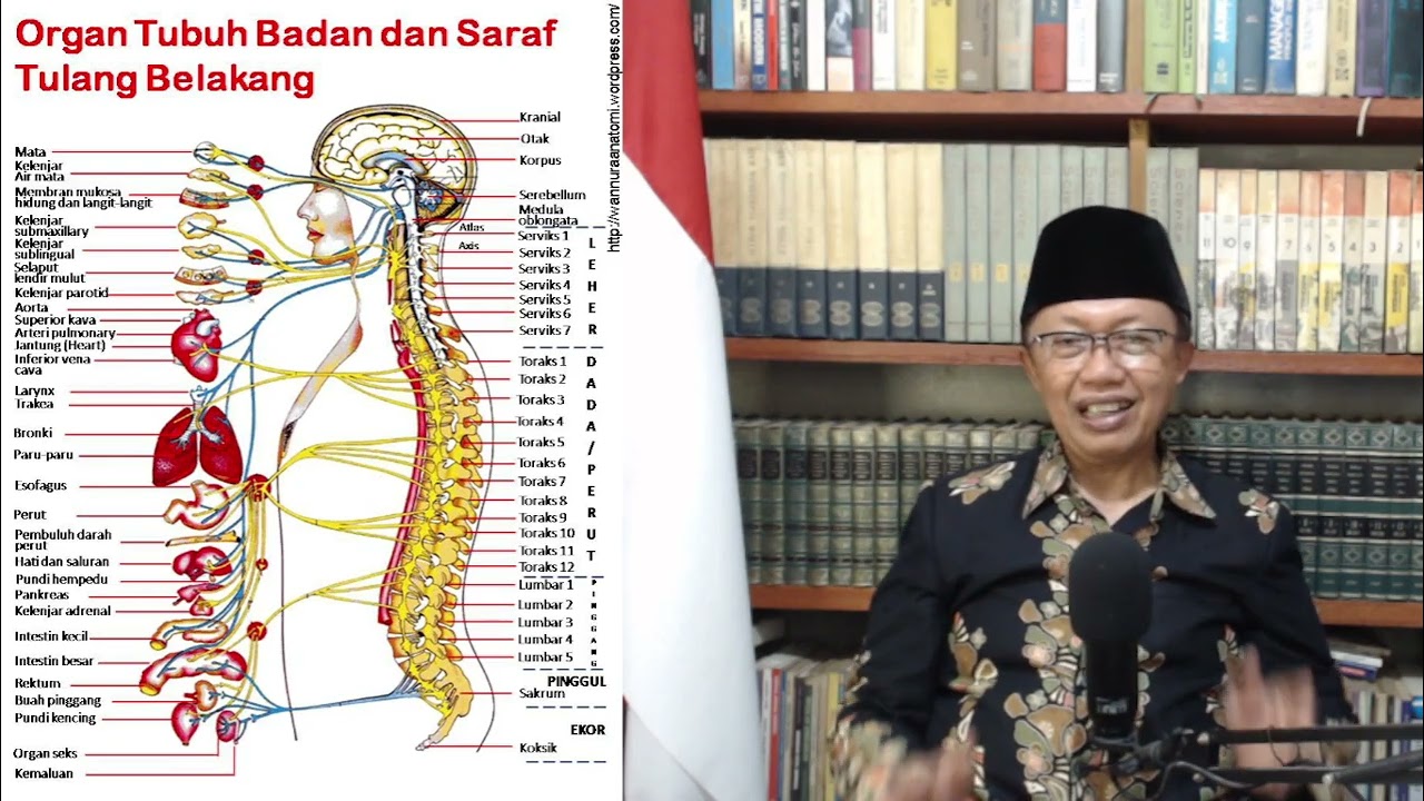 Seri 992: REMAJA GLOWING DAN  ISTRI DISAYANG SUAMI, 2026 03 17 11 06 32