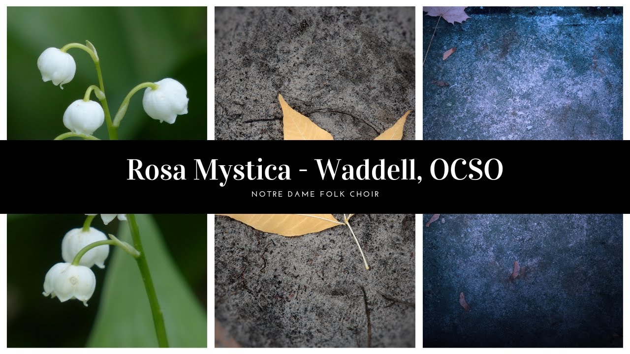 Rosa Mystica - Waddell, OCSO | Notre Dame Folk Choir