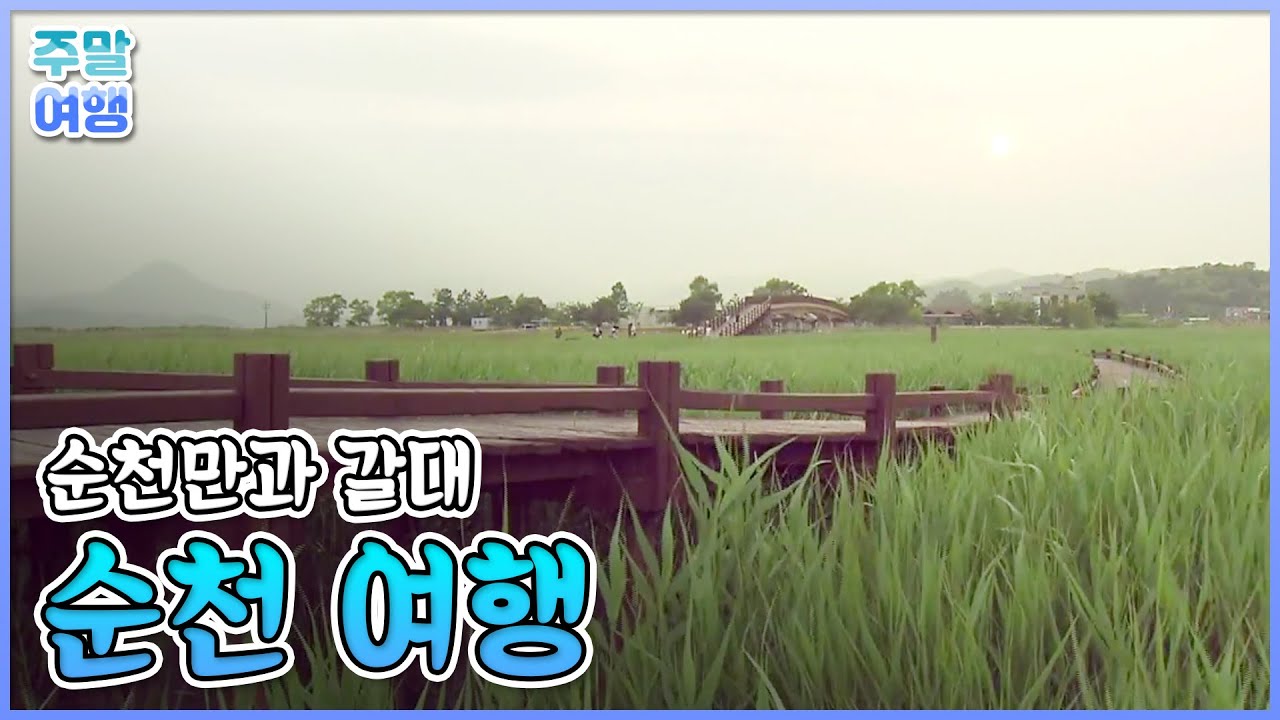 국내 여행 필수 코스, 순천만 정원과 갈대밭 [테마기행 길]