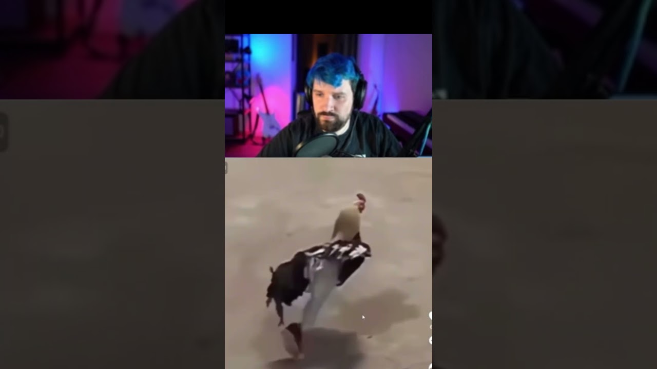 #Destiny reacts to a funny chicken video